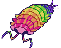 a drawing of an isopod in the colors of the pride flag